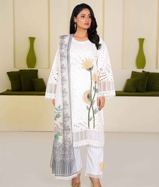 0225-Chikankari Embroidered