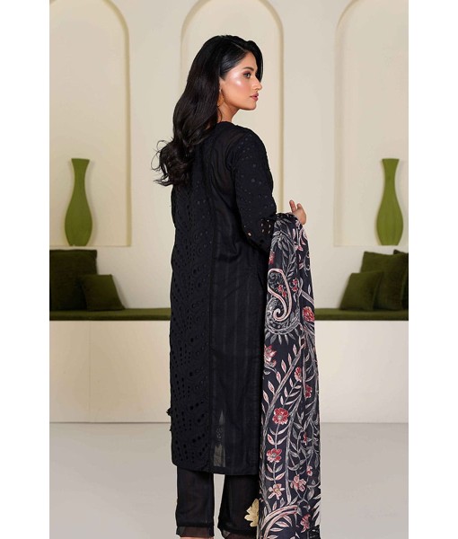 0225-Chikankari Embroidered