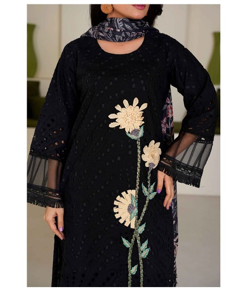 0225-Chikankari Embroidered