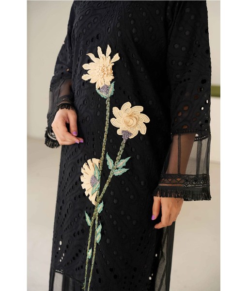 0225-Chikankari Embroidered