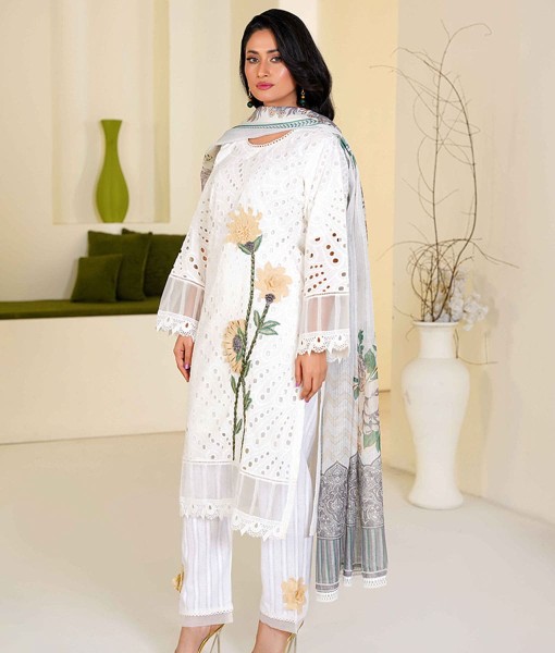0225-Chikankari Embroidered