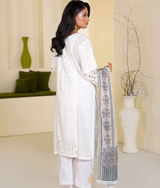0225-Chikankari Embroidered