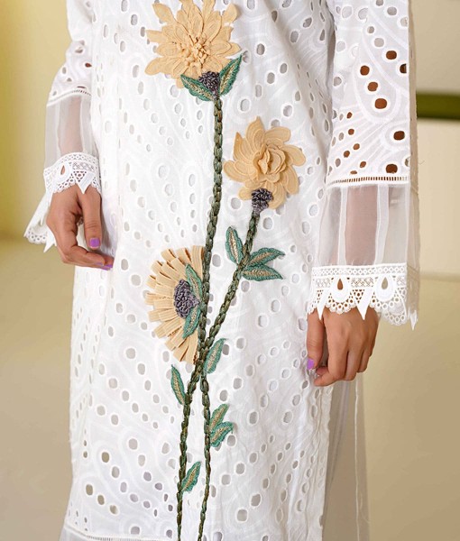 0225-Chikankari Embroidered