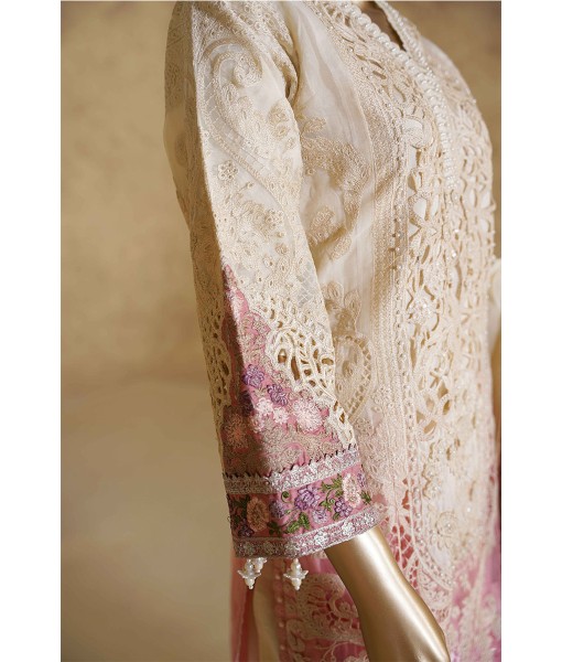 0269-Embroidered Organza 