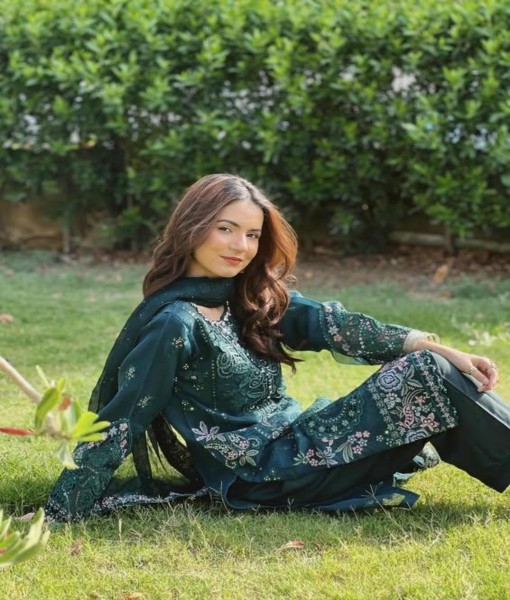 0274-Embroidered Organza 