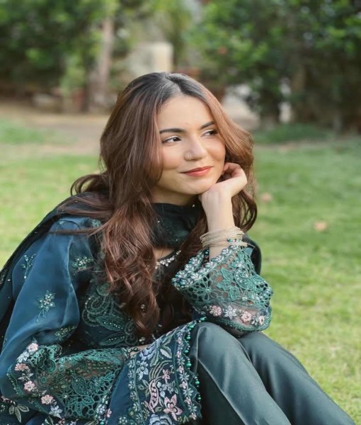 0274-Embroidered Organza 