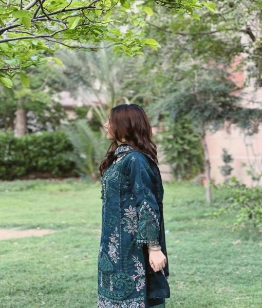 0274-Embroidered Organza 