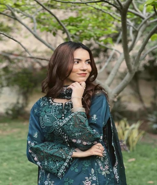 0274-Embroidered Organza 