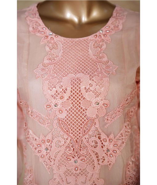 0243-Embroidered organza 