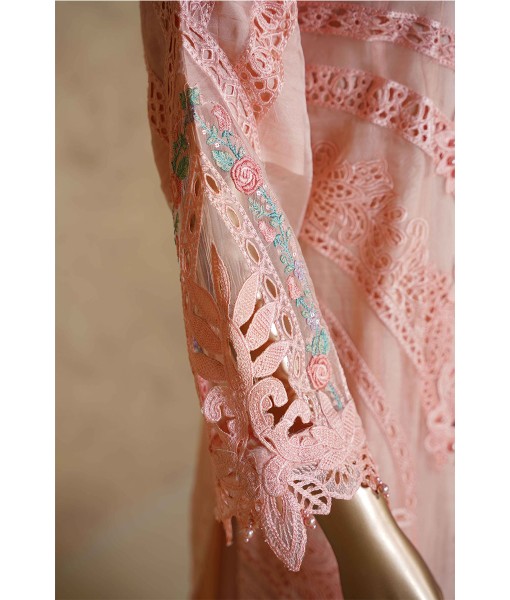 0243-Embroidered organza 