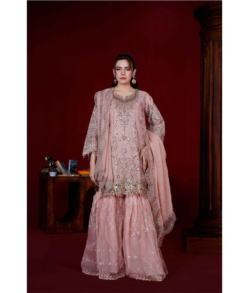 0271-Embroidered Organza 