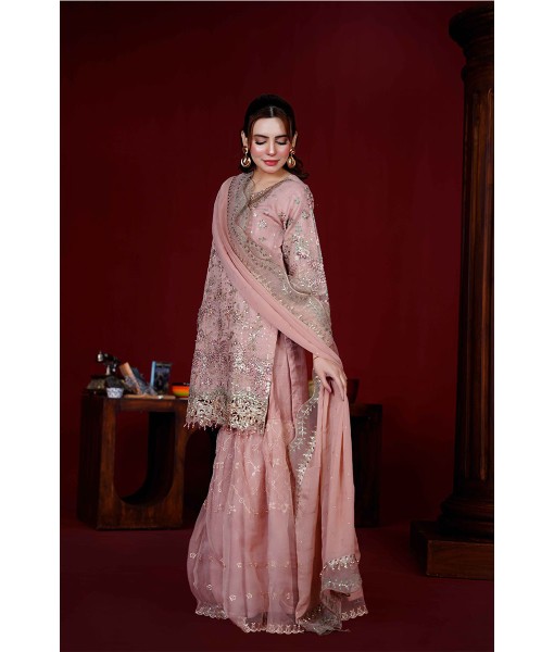 0271-Embroidered Organza 