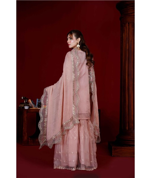 0271-Embroidered Organza 