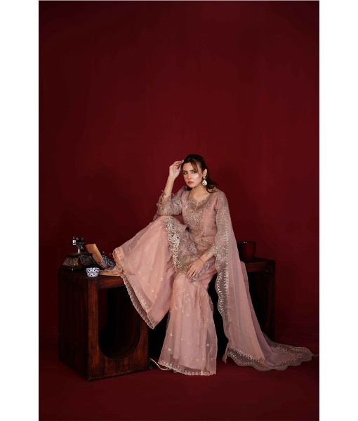 0271-Embroidered Organza 