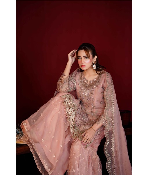 0271-Embroidered Organza 