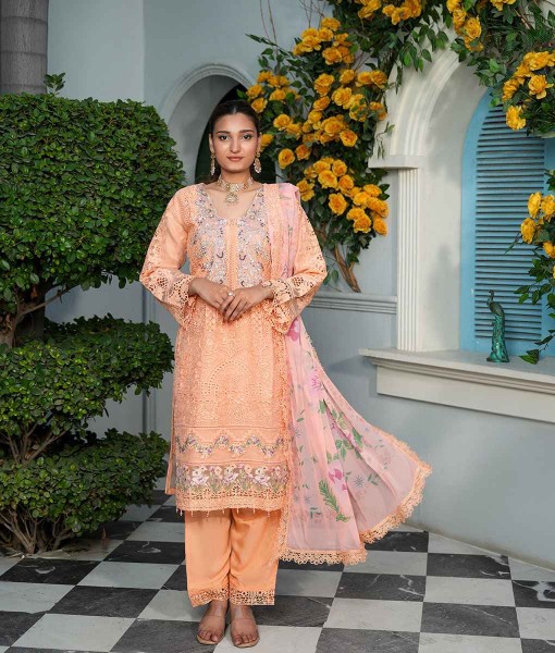 0251-Embroidered Organza 