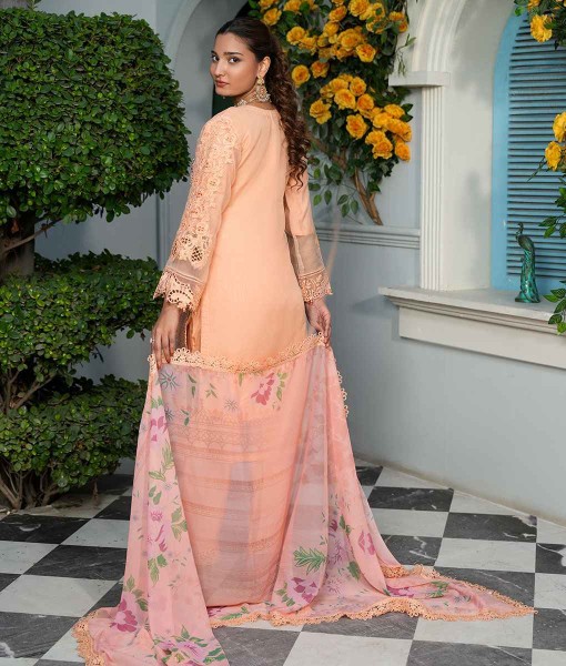 0251-Embroidered Organza 