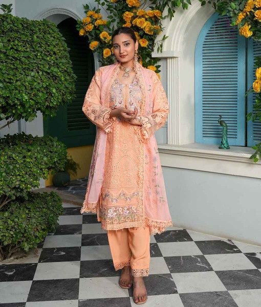 0251-Embroidered Organza 