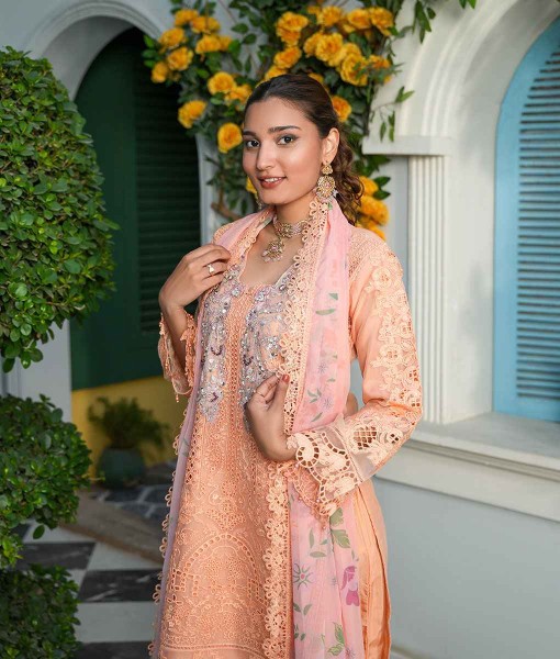 0251-Embroidered Organza 