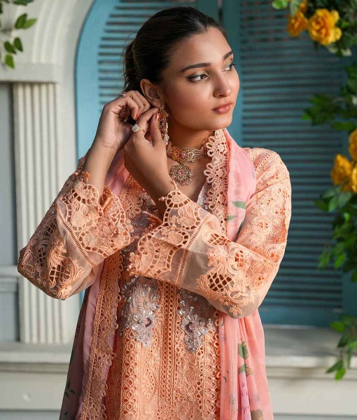 0251-Embroidered Organza 