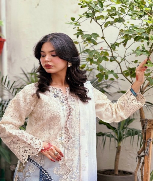 626 Embroidered double dyed organza  