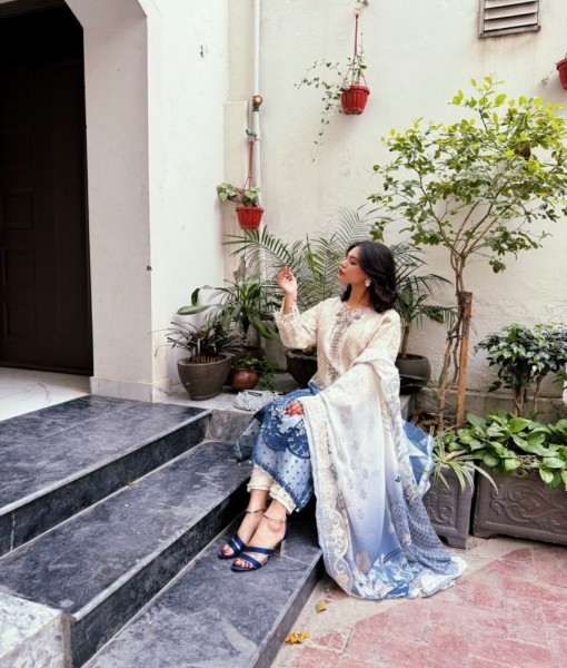 626 Embroidered double dyed organza  