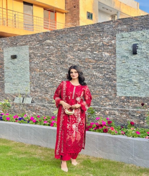 0276-Embroidered organza 