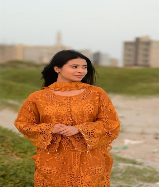 Sn-28v-Embroidered viscose 