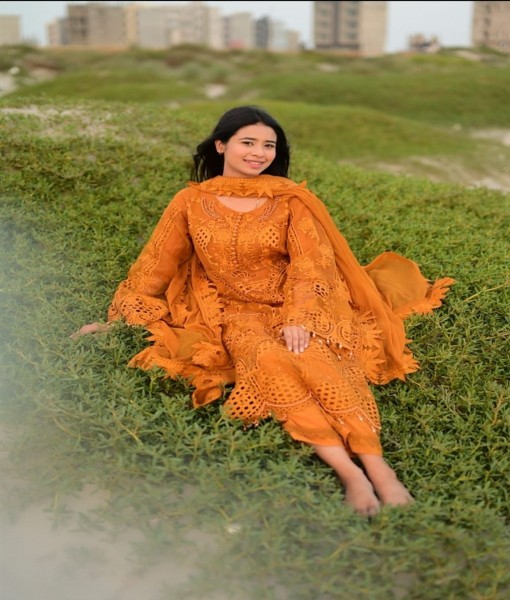 Sn-28v-Embroidered viscose 