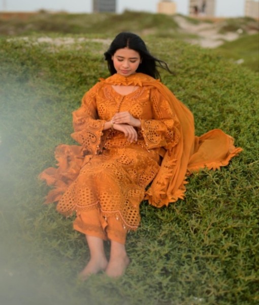 Sn-28v-Embroidered viscose 