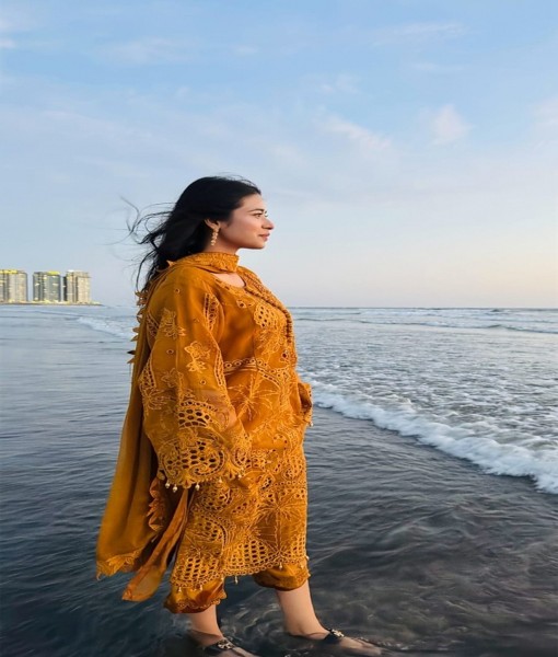 Sn-28v-Embroidered viscose 