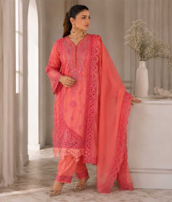 Mansooj Cotton 614
